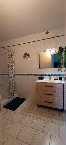 une salle de bain avec un lavabo et un miroir dans l'établissement Gîte les vignes avec piscine proche du Ventoux, à Saint-Romain-en-Viennois