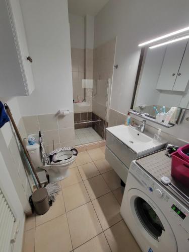 une salle de bain avec toilettes et lavabo et une machine à laver dans l'établissement bel appartement a vals les bains, à Vals-les-Bains