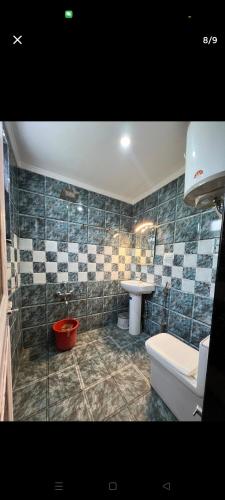 a bathroom with a toilet and a sink at Meer Mansion Homestay in Srinagar