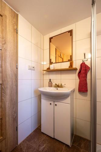 a bathroom with a white sink and a mirror at Róże i Jabłonie Agroturystyka in Gryfów Śląski