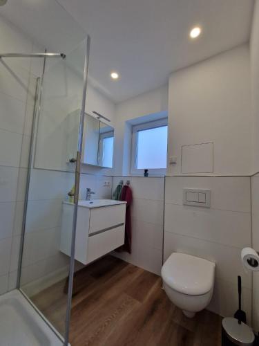 a bathroom with a toilet and a sink and a shower at Ferienhaus Urlaub-in-Edenkoben in Edenkoben