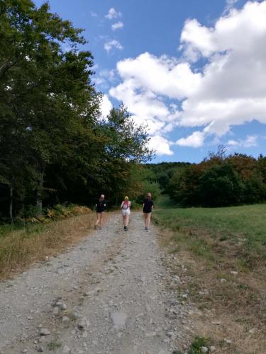 a group of people walking down a dirt road at Agriturismo Bordigaie in Bruscoli