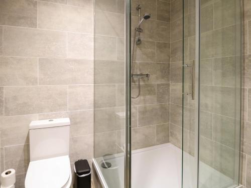 a bathroom with a shower and a toilet at Robin's Nest Lodge in Snettisham