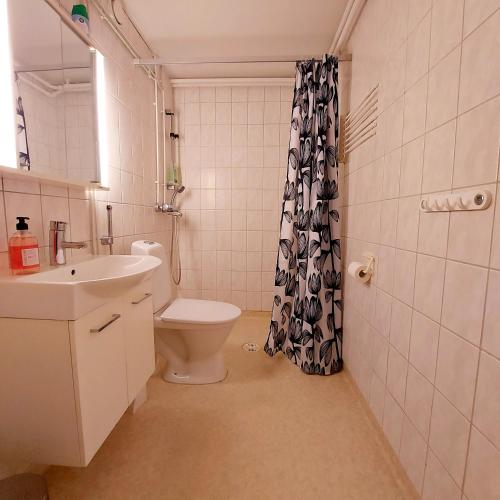 a bathroom with a toilet and a sink and a shower at Huoneisto Pikku Neristan in Kokkola