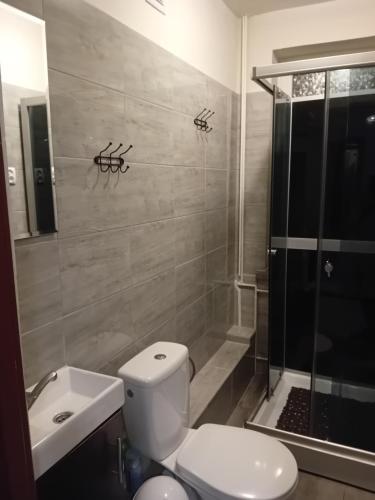 a bathroom with a toilet and a shower at OLEŃKA in Darlowko