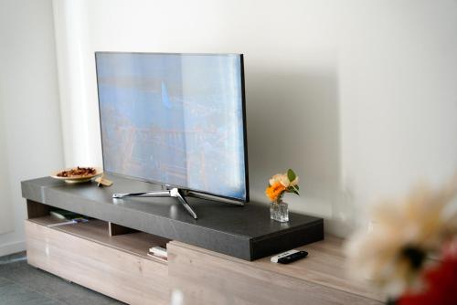 TV a/nebo společenská místnost v ubytování Urban Flat