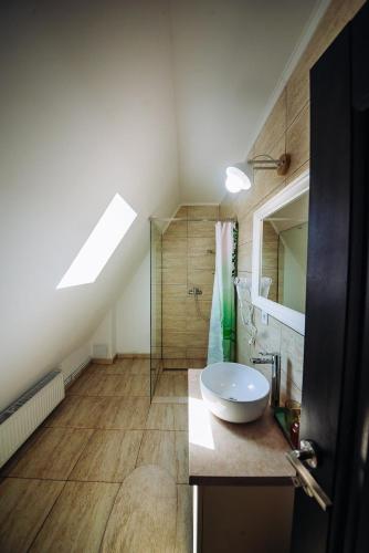 a bathroom with a sink and a glass shower at Aframe LINIȘTEA PĂDURII NĂMĂEȘTI in Nămăeşti
