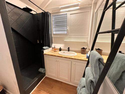 Fotografie z fotogalerie ubytování Nouveau La Caribéenne sur la plage Villa 2 bedrooms 2 baths piscine tennis plage v destinaci Baie Nettle