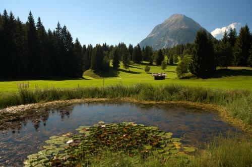 a pond in a field with a mountain in the background at Seefelds Bed & Breakfast in Seefeld in Tirol