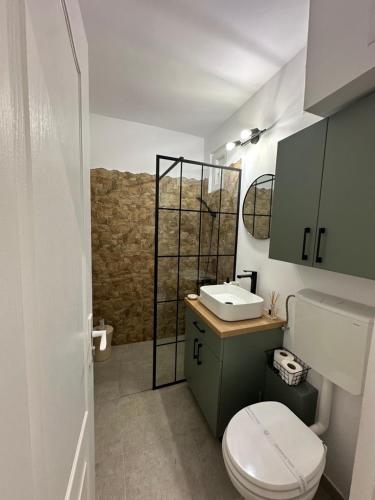 a bathroom with a toilet and a sink at Apartament Cetate Deva in Deva