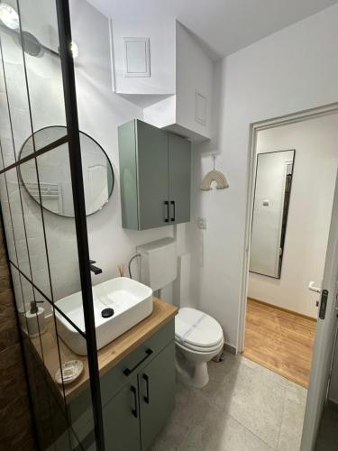 a bathroom with a white toilet and a sink at Apartament Cetate Deva in Deva
