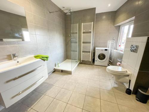 La salle de bains est pourvue d'un lavabo, de toilettes et d'un lave-linge. dans l'établissement Le Stéphanois cozy centre-ville spacieux, à Saint-Étienne
