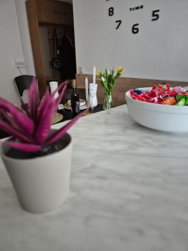 a table with a plant and a bowl of candy at Gajeva Rooms - Toronto apartment SELF CHECK-IN in Virovitica