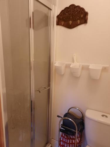 a bathroom with a toilet and a glass shower at City centre room Ensuite in Cork