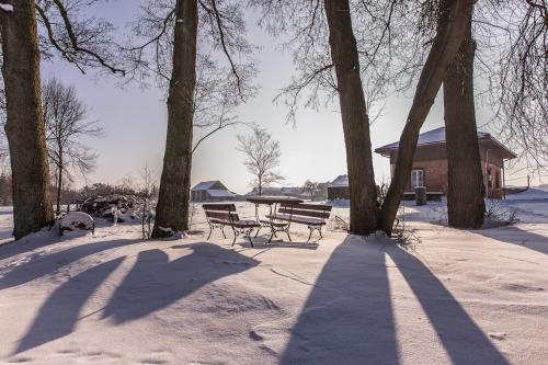 a group of benches in the snow next to trees at Stara Pompka Studio na Górze in Czeremcha