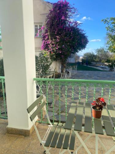 a green bench sitting on a balcony with flowers at Hostl - Beds & Rooms - The Hostel Inn Paphos, Old Town in Paphos City