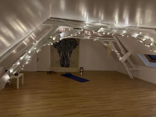 an empty room with a ceiling with lights on it at La petite Brainoise - Gîte avec salle jacuzzi 120 jets in Braine