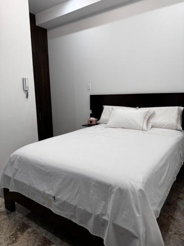 Gallery image of Hotel San Francisco in Tarapoto