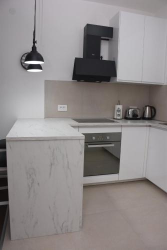 Cuisine ou kitchenette dans l'établissement Apartman Aurora