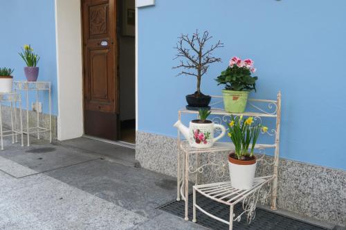 a group of potted plants on a chair next to a door at Piccolo Hotel in Locarno