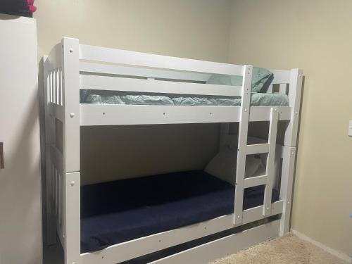 a couple of bunk beds in a room at Casa linda pra alugar na COP 30 in Belém