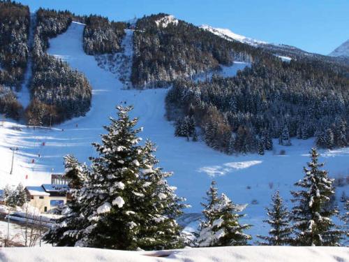 pokryta śniegiem góra z drzewami i stok narciarski w obiekcie Résidence Les Arolles - Studio pied des pistes MAE-3974 w mieście Villard-de-Lans