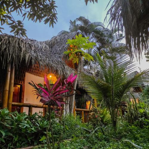 a house with a bunch of plants in front of it at Montañita Cabañas in Montañita
