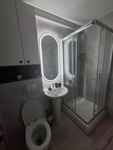 a bathroom with a shower and a toilet and a sink at Astera 2 in Vrnjci