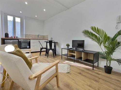 un salon avec une chaise et une table avec une plante dans l'établissement Cornas - Centre Historique Calme, à Tournon-sur-Rhône