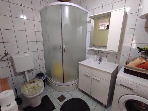 une salle de bains avec douche, toilettes et lavabo dans l'établissement Kuća za odmor Marina, à Sutomišćica