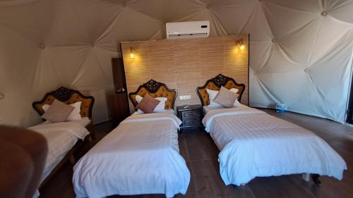 Katil atau katil-katil dalam bilik di Taj Wadi Rum camp