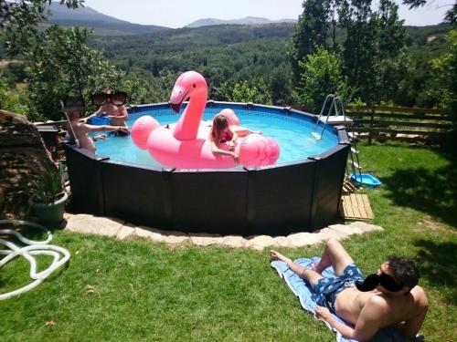 a group of people in a pool with a pink swan at Hoyo de Los Lobos in Hoyocasero
