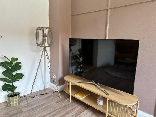 a living room with a flat screen tv and a plant at Gemütliche Wohnung im Zentrum in Neumünster