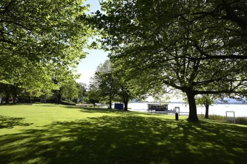 a park with a tree and a grass field at Apartments Sunnseitn by Gerrit & Herfried in Krumpendorf am Wörthersee