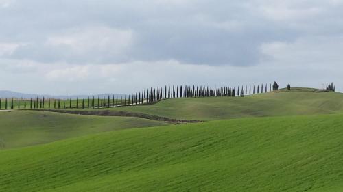 a fence on top of a green field at 1000 Miglia in Monteroni dʼArbia