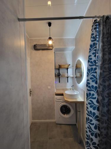 a bathroom with a sink and a washing machine at Maison 4p, parking, terrasse, jardin in Chancenay