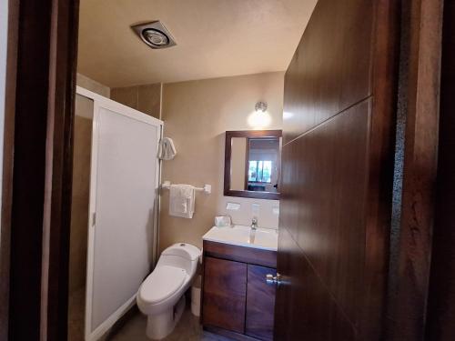 a small bathroom with a toilet and a sink at Hotel Agua Azul Sayulita in Sayulita