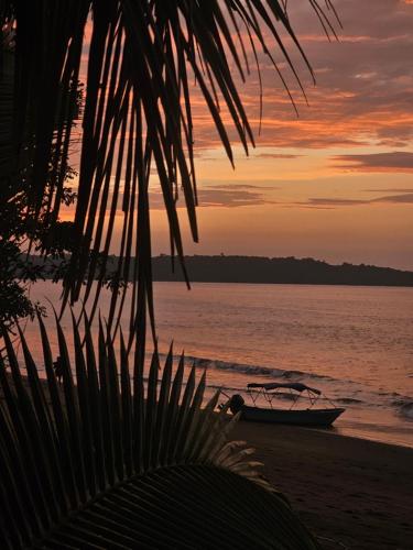 a boat sitting on the beach at sunset at Chowa lodge in Nuquí