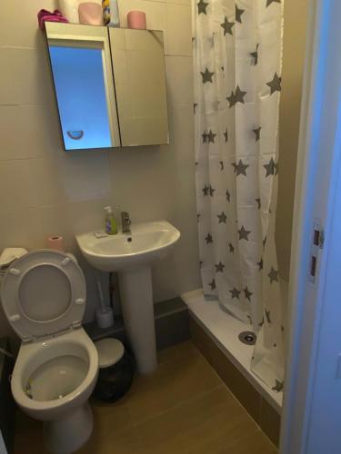 a bathroom with a toilet and a sink and a mirror at Hôtel & Restaurant ISVARA in Breteuil