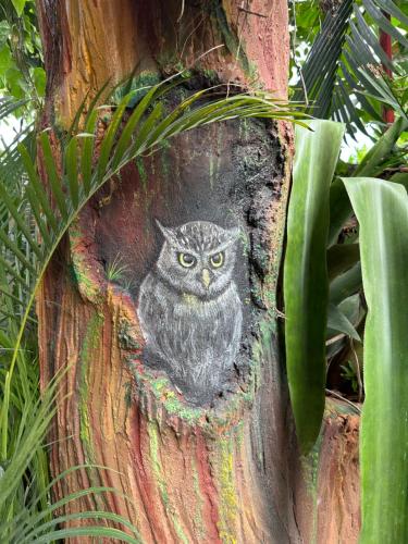 Fotografie z fotogalerie ubytování Cahuita Vibe v destinaci Cahuita