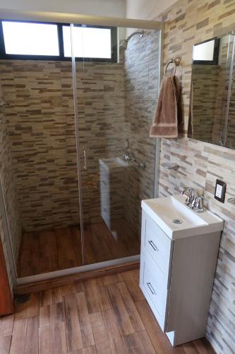 a bathroom with a shower and a sink at Loft romántico y acogedor junto al bosque in Huasca de Ocampo