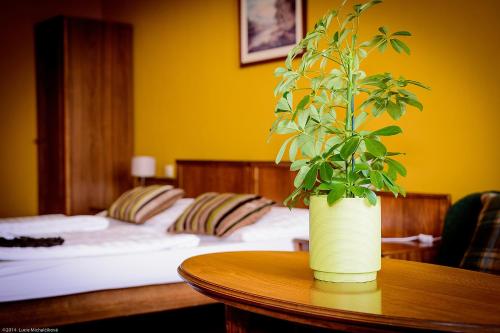 a plant in a vase on a table in a bedroom at Penzion Pod Kašnou in Frýdek-Místek