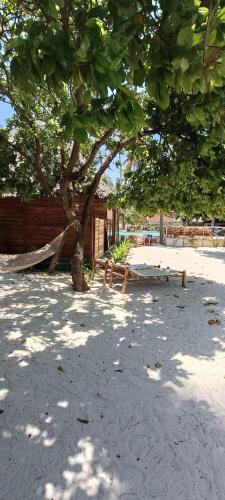 a tree in the sand with a hammock under it at Tikipalmbeachhotel in Paje