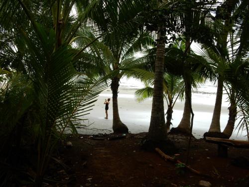 a person standing on the beach between palm trees at Punta Duarte Garden Inn in Los Duarte