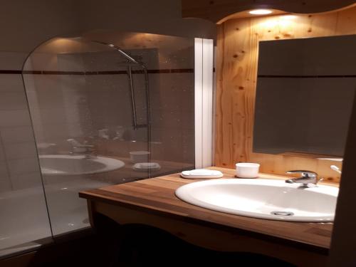 une salle de bain avec un lavabo et une douche dans l'établissement Apartment Chamrousse near Ski Lift, à Chamrousse