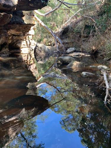 a reflection of the sky in a pool of water at Huzzah! in Theresa Park