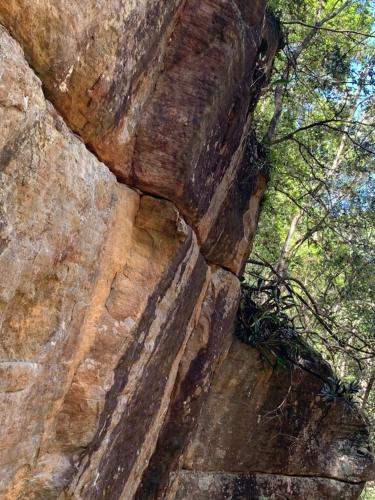 a close up of the side of a large rock at Huzzah! in Theresa Park