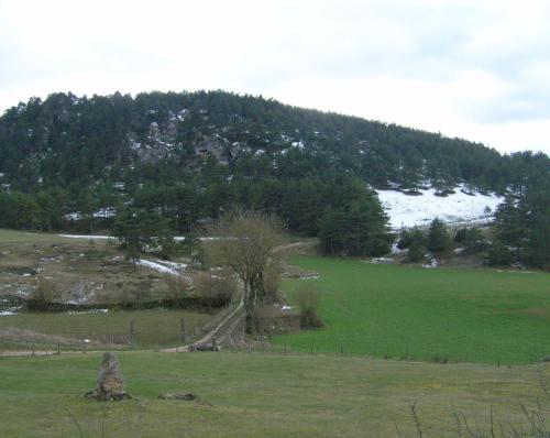 a field with a tree in the middle of a mountain at Chez Louis chambres d'hôtes à la ferme in La Canourgue