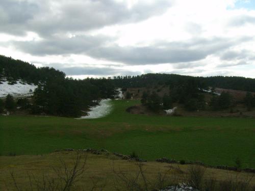 a green field with a river in the distance at Chez Louis chambres d'hôtes à la ferme in La Canourgue