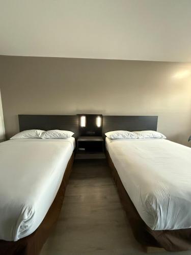 two beds sitting next to each other in a room at Motel 6 Culpeper, VA in Culpeper
